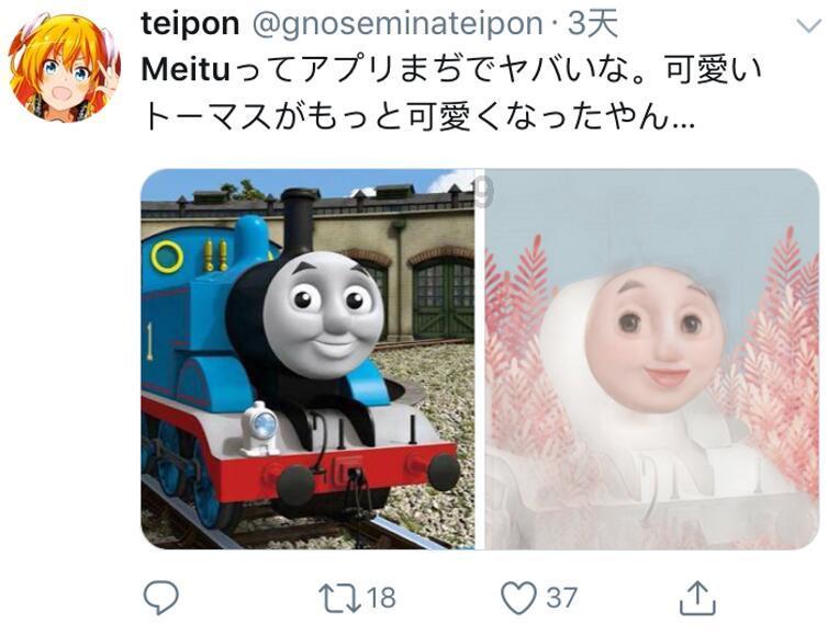 沪政协委员呼吁上海打造“宠物友好城市”