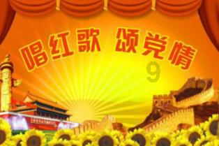 披萨找不同