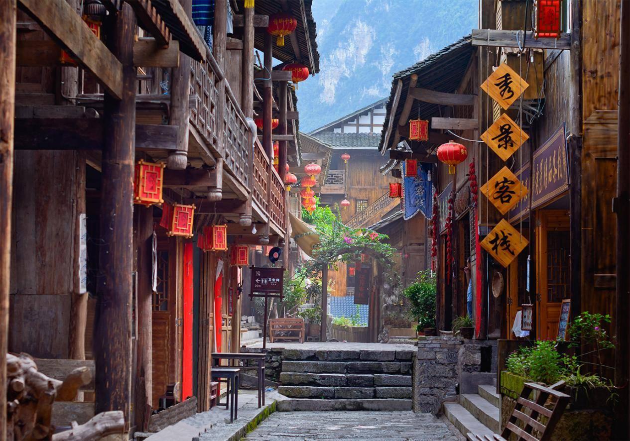 拯救枯树